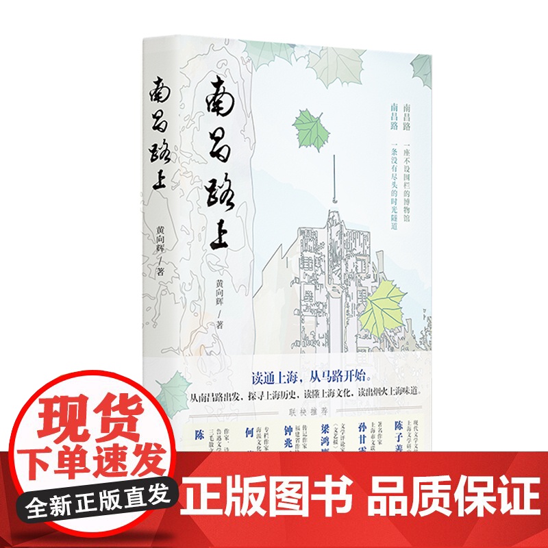 南昌路上 上海马路丛书黄向辉著作上海远东出版社读城城市文化史中国现当代文学作品高清大图