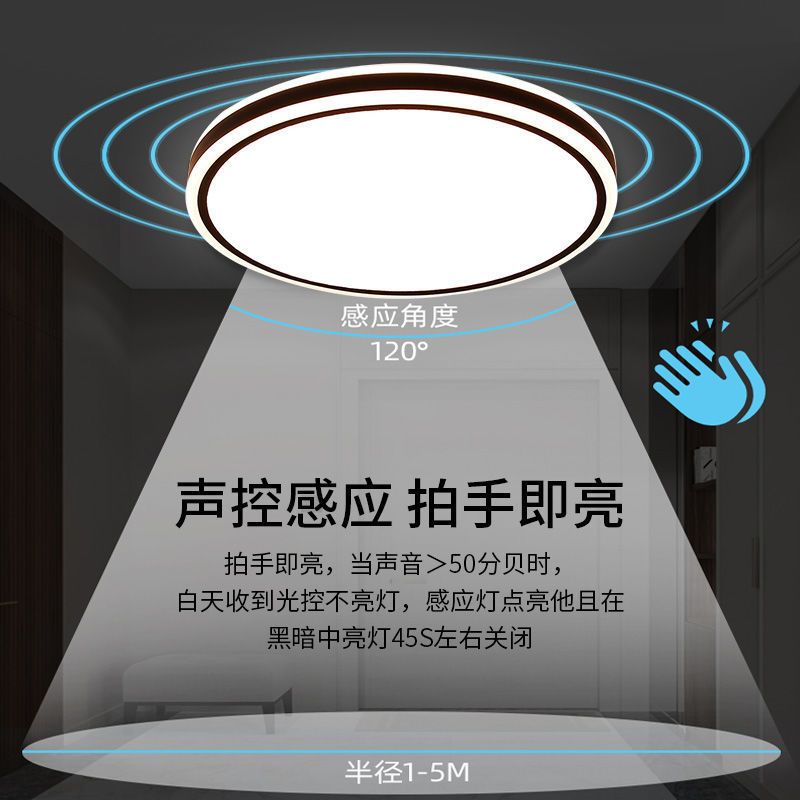 黑谍影40cm声光控感应24w led感应吸顶灯声控楼道楼梯过道家用入户