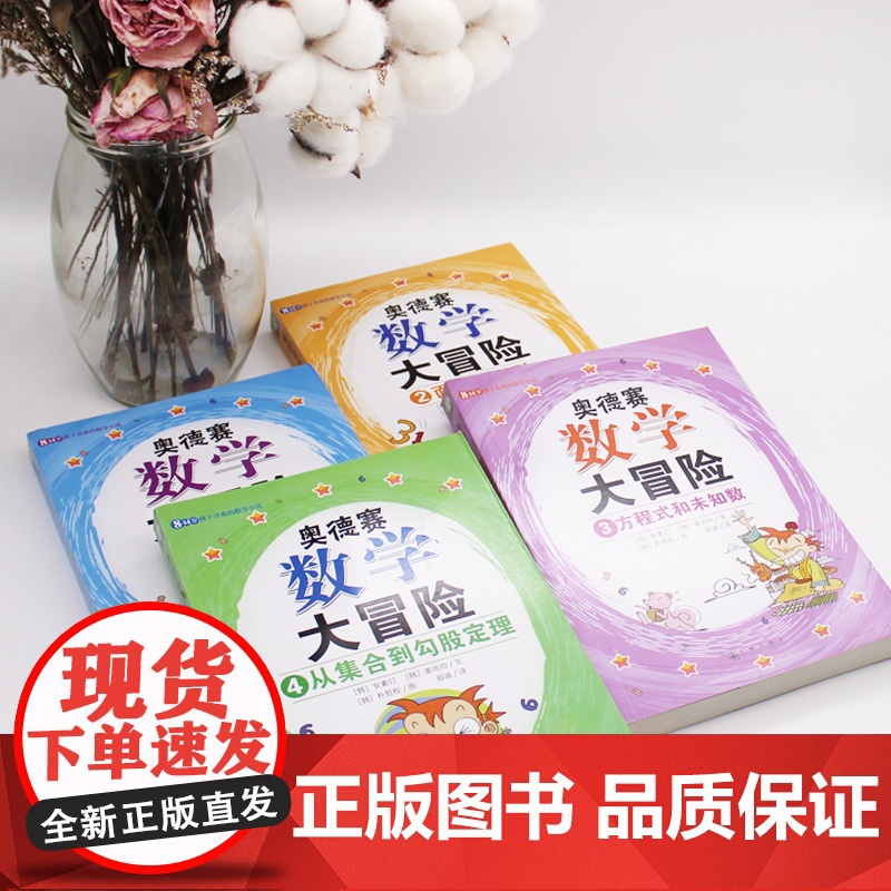 奥德赛数学大冒险系列:数的世界+面积和图形+方程式和未知数+从集合到勾股定理(全4册)九州出版社 安素玎 姜尚均著作 朴高清大图