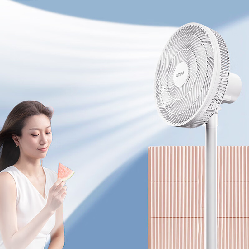 康佳-落地扇KLDS-2401高清大图