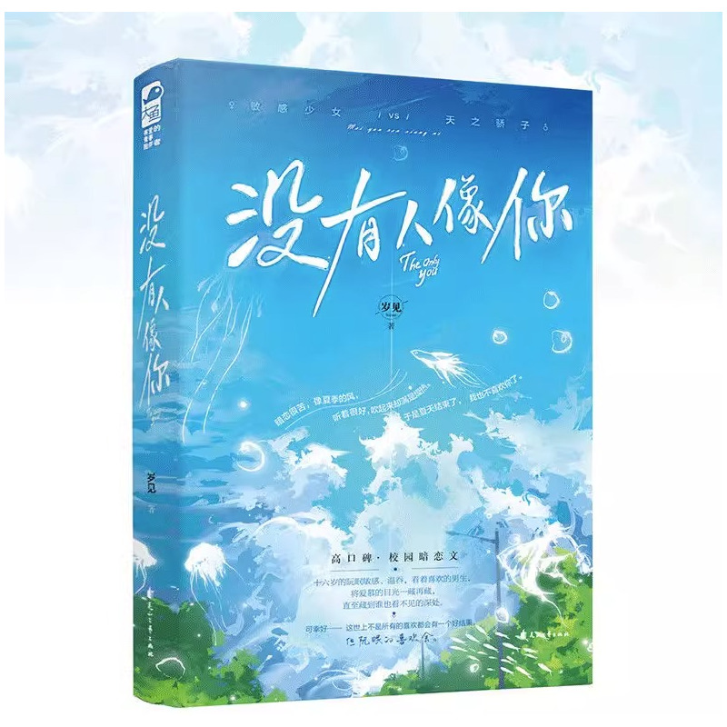 [正版]赠笔记本没有人像你 岁见 1本完结 大鱼青春文学现代校园恋爱暗恋文都市言情小说实体书籍 没有人像你特签