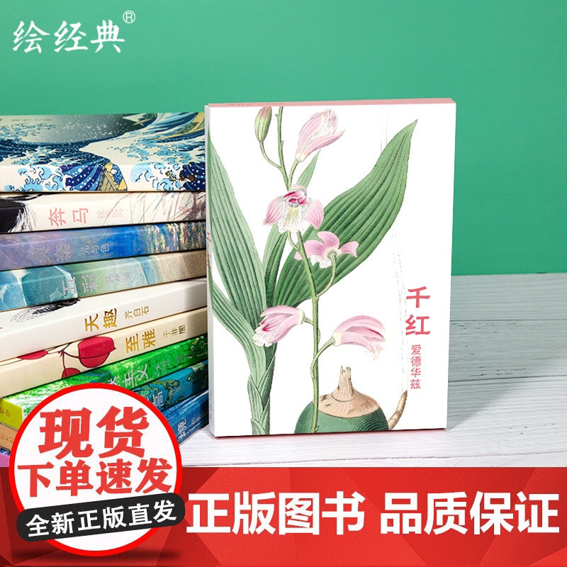 明信片《千红》水彩大师爱德华兹绘 32张名家花卉水彩画册集艺术明信片小卡片手绘插画简约小清新文艺日系复古风生日贺卡创意礼高清大图
