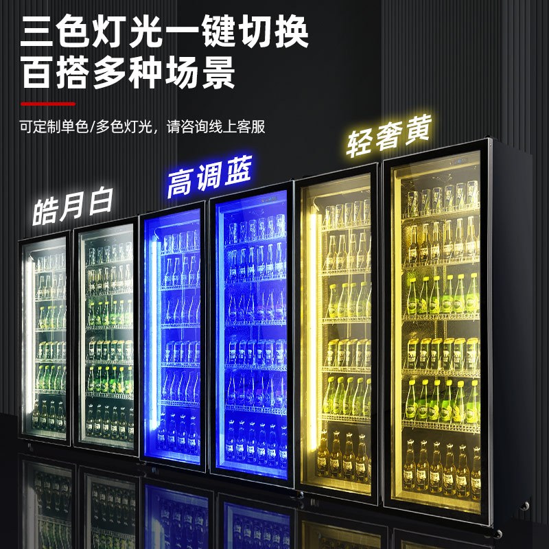 埃利斯(AILISI)啤酒柜饮料柜风冷展示柜超市酒吧KTV 商用冷藏冰柜网红冷柜大容量风冷回弹门LC-1000F