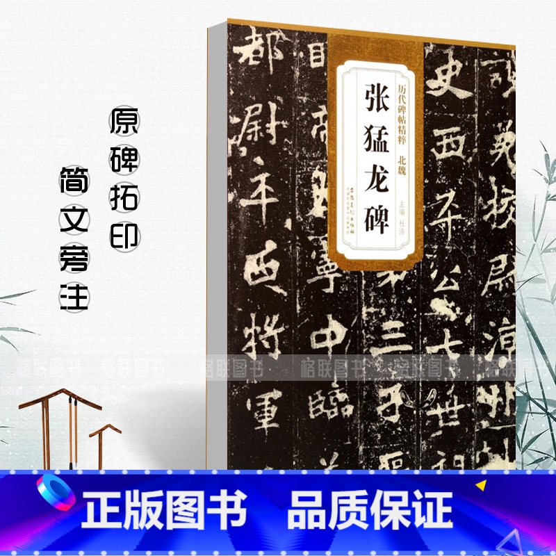 【正版】北魏张猛龙碑历代碑帖精粹杜浩编 简体旁注碑帖楷书毛笔字帖书法练习临摹技法书写练字帖安徽美术出版社
