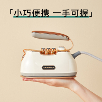 大宇(DAEWOO)挂烫机家用手持熨烫机 蒸汽电熨斗 旅游出差便携式小型除菌自清洁烫衣机HI-036 星黛紫