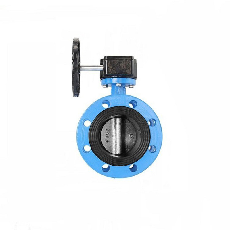 法兰蝶阀DN150高清大图