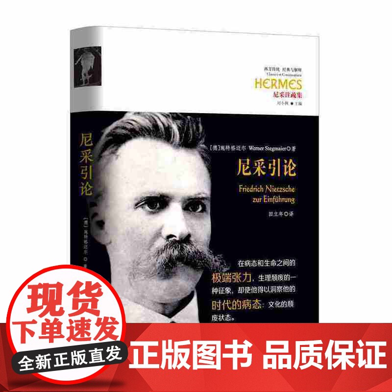 尼采引论 施特格迈尔 华夏出版社 正版书籍高清大图