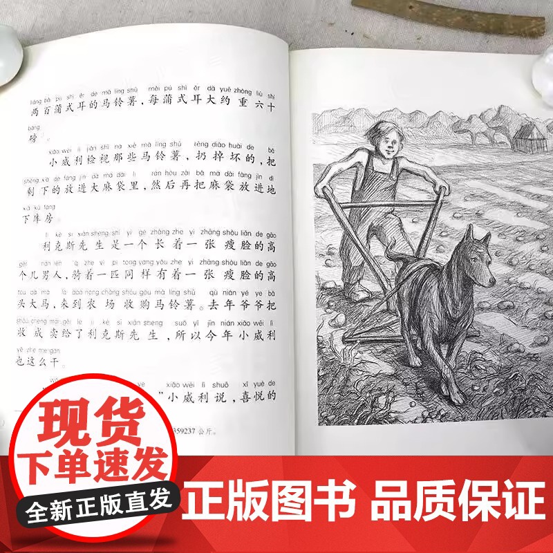 石狐 小说·注音版 国际大奖小说注音版系列小学生一二三四年级课外阅读书籍6-9-12周岁带拼音的青少儿童成长励志童话故事高清大图