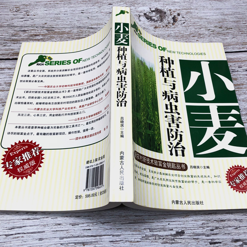 [正版]小麦种植与病虫害防治新农村新技术致富金钥匙丛书专家权威版病虫害图谱种植管理品种选择播种肥料与农药管理规范安全储藏高清大图