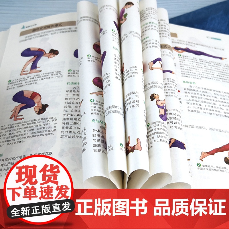 正版瑜伽与冥想 零基础图文详解瑜伽书籍 基础减肥 瑜伽冥想引导初级入门修身养生书运动瘦身书 新手瑜伽教程书瑜伽教程书籍高清大图