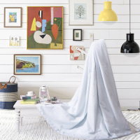 水星家纺 莘德拉蚕丝被 200*230cm 白色