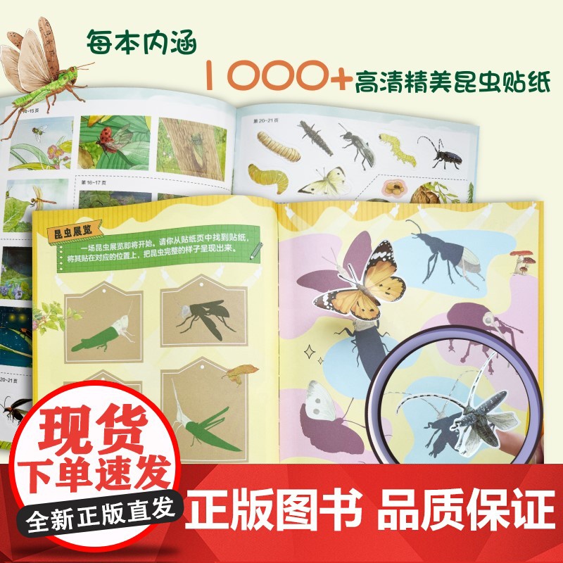 昆虫世界1000个奇趣贴纸全收藏 昆虫大明星高清大图