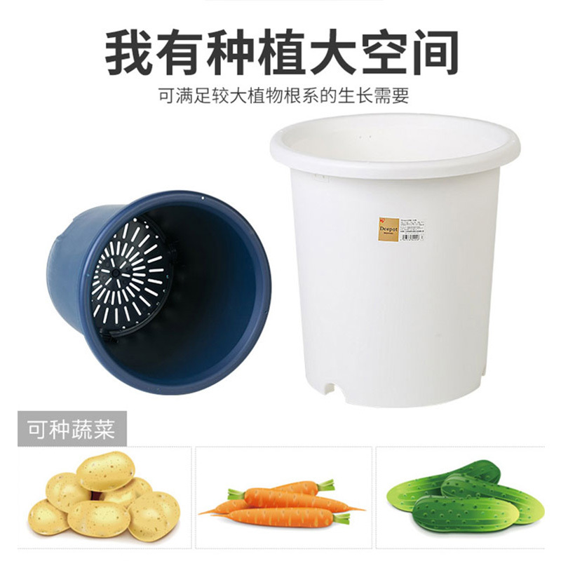 爱丽思加仑花盆塑料多肉植物带托盘树脂家用 6号军绿色加托