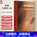 正版 黑素与黑素小体 生物合成 生物发生 生理和病理功能 产黑素细胞的分布与功能 主编 许德田 安全 9787117
