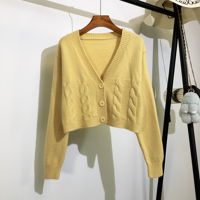 fishbasket毛衣开衫外套女新款韩版宽松短款v领麻花网红长袖针织衫