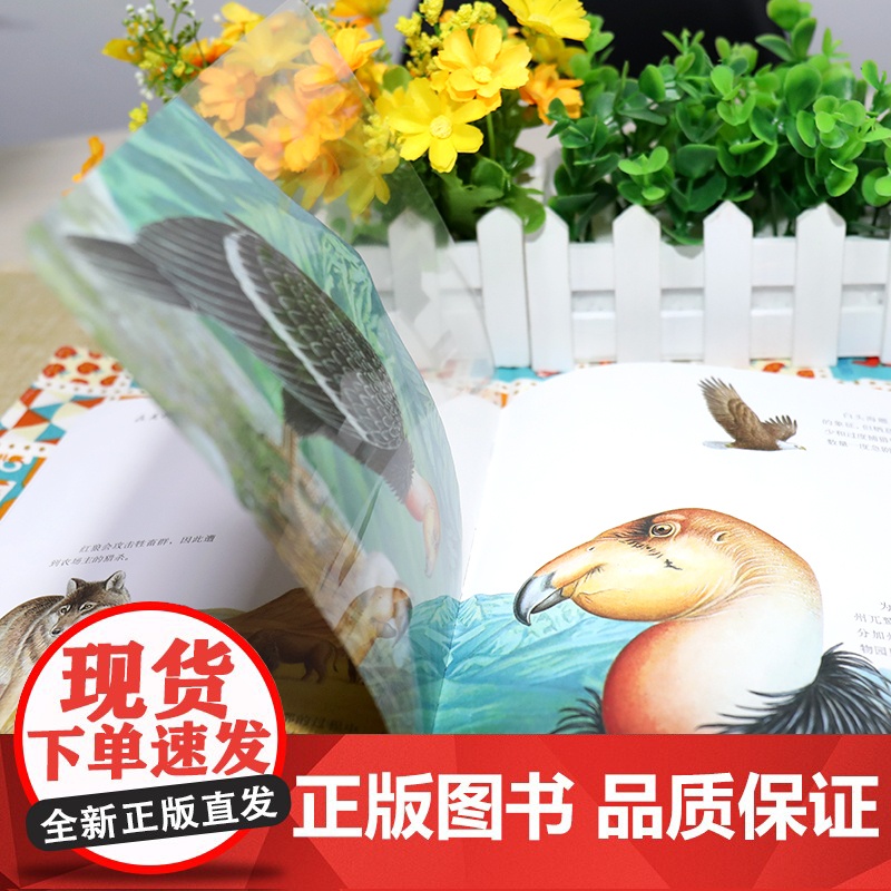第一次发现濒临危机的动物 透视眼系列动物类儿童绘本书 小学一年级课外阅读科普动物生存认知百科童书学校课外阅读书目高清大图