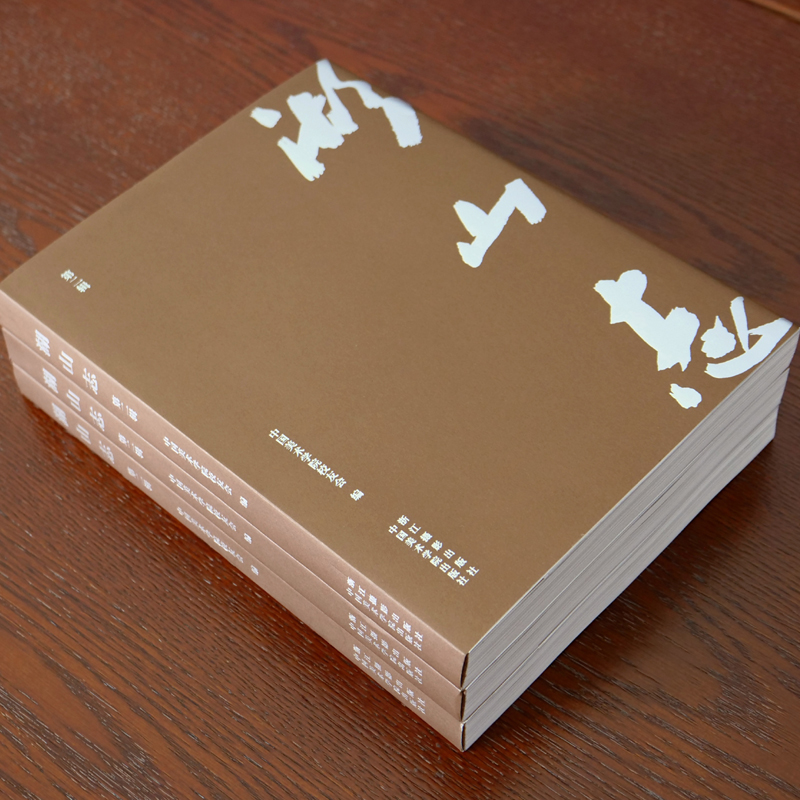 [正版]湖山志(第二辑)中国美术学院校史回忆录 中国美术学院的历史与文化 浙江摄影出版社高清大图