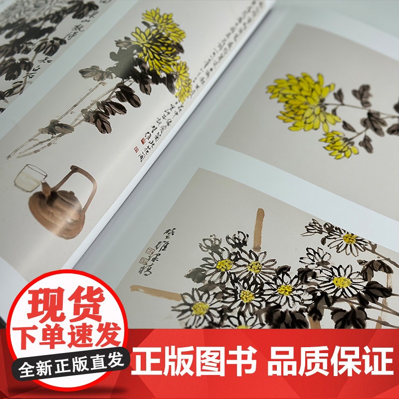 方楚雄教学示范.菊 国画技法 步骤详解 教学示范视频 国画好书 岭南美术出版社高清大图