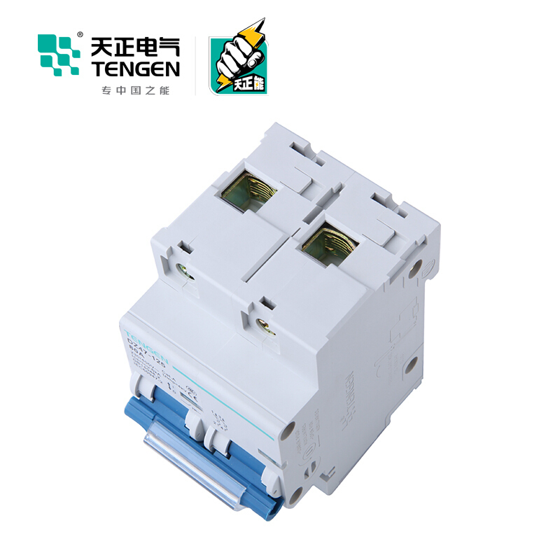 天正电气 空气开关 DZ47-125 2P C80A 6KA 01060020006 微型断路器