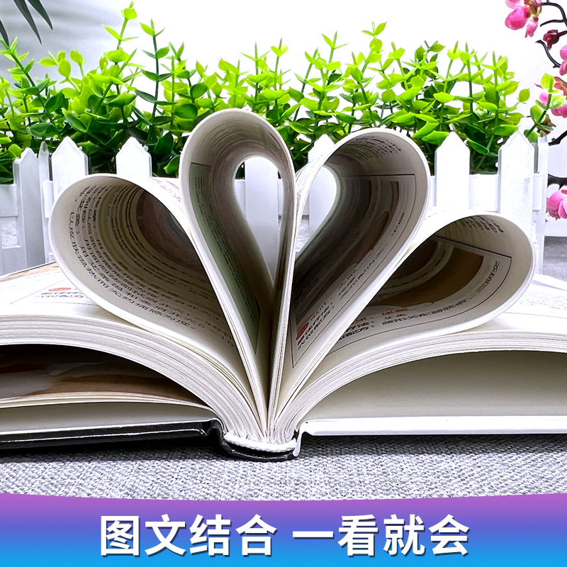 [正版]同步视频 经络穴位轻图典 中医养生人体经络穴位按摩大全 中医基础理论取穴对症疗效推拿书 家庭保健经络疏通图解穴