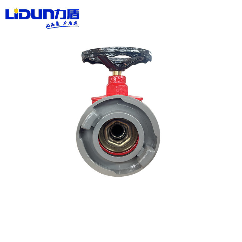 力盾 室内消火栓 SNW65-III 台高清大图