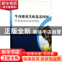 牛肉质相关候选基因间作用机制的分析研究
