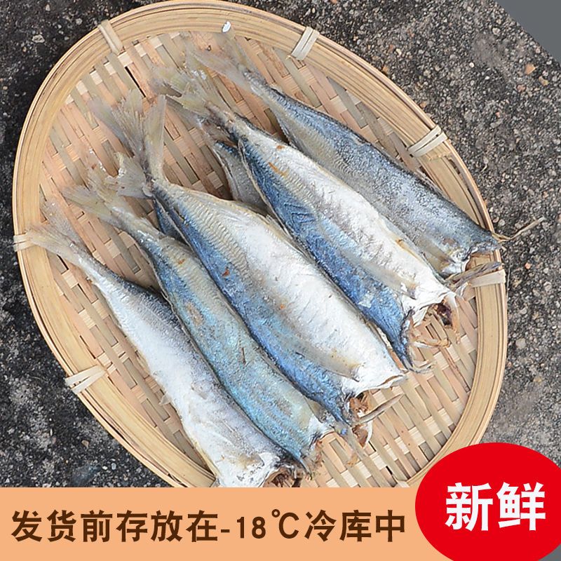 福建咸鱼干小鱼干特产巴浪鱼干新鲜鳀鱼海鱼海鲜咸鱼干货500g 1斤