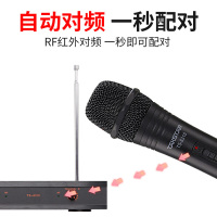 得胜(TAKSTAR) TS-6310HH无线话筒一拖二 KTV家用唱歌专业麦克风