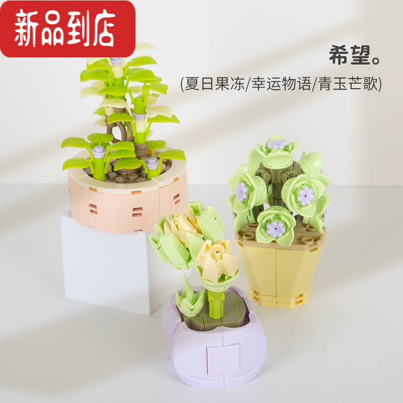 真智力佳奇花束迷你多肉仿真绿植盆栽女孩拼插积木摆件玩具生日礼物 套餐1 希望3款仿真食物