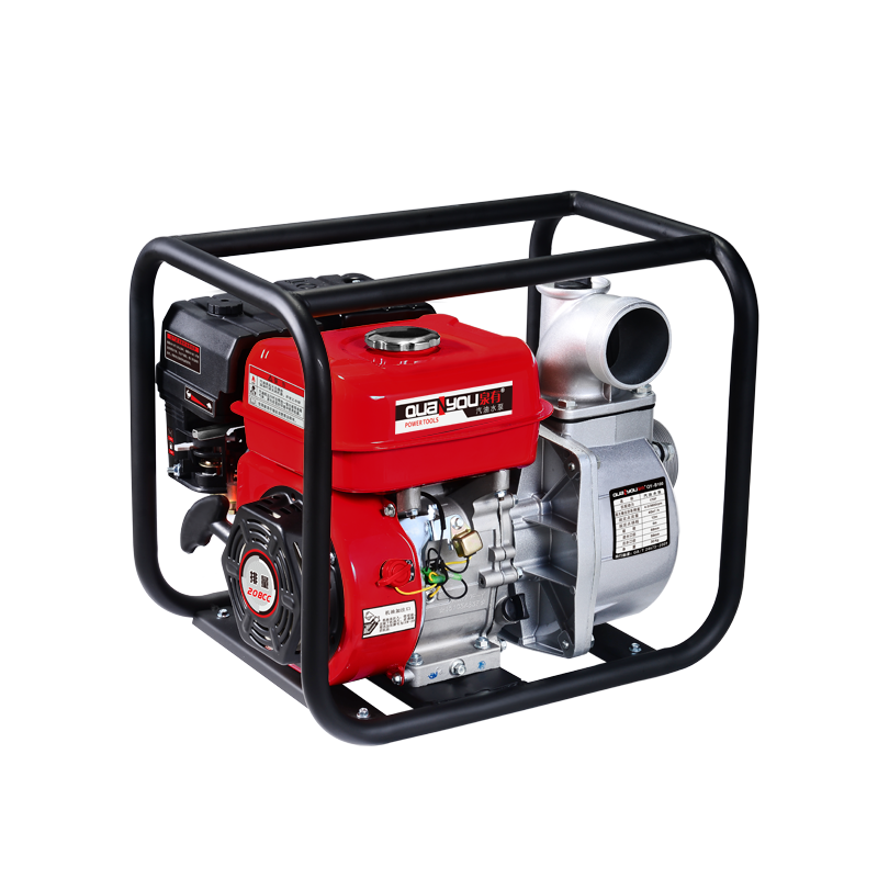 泉有 汽油水泵 QY-B100高清大图
