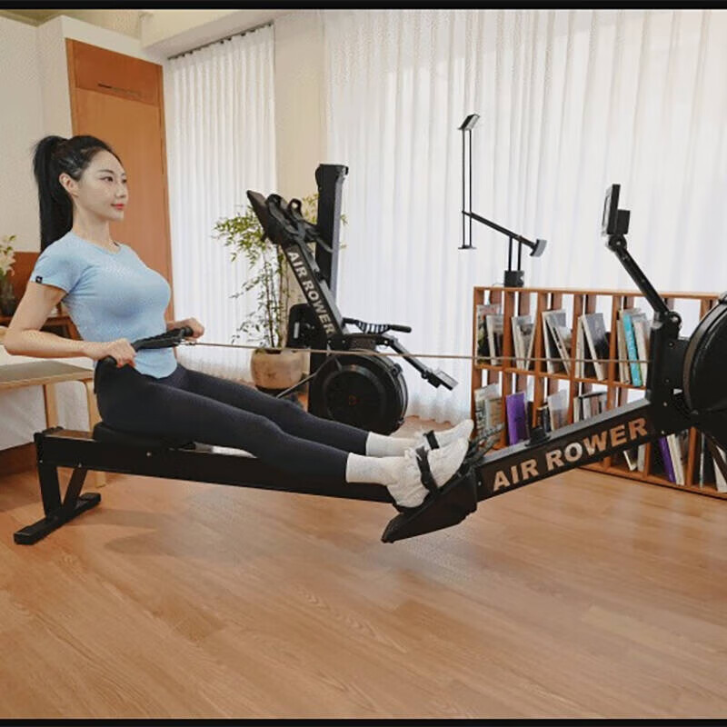 勒德威 划船机 风阻家用健身多功能滑船器材智能风磁双阻可折叠 H518高清大图