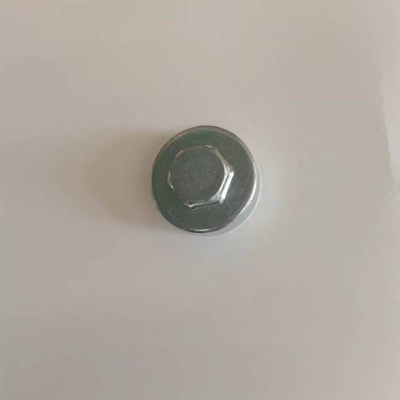 帮客材配 全新原装EL EH ES MK MG MA EW EQ WA1/WA1B排污口螺帽(镁棒螺母)(带密封圈)高清大图