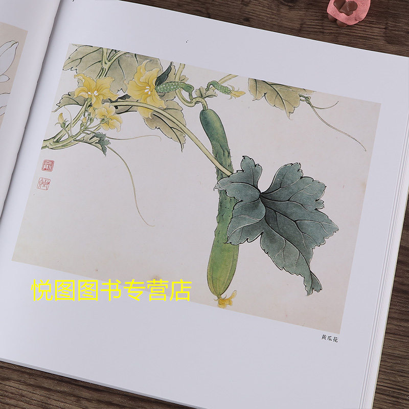 [正版]百花工笔画集 田世光 于非闇 俞致贞绘 荣宝斋出版 工笔花鸟花卉白描图集作品集 附编工笔白描花卉 勾勒花卉法 花高清大图