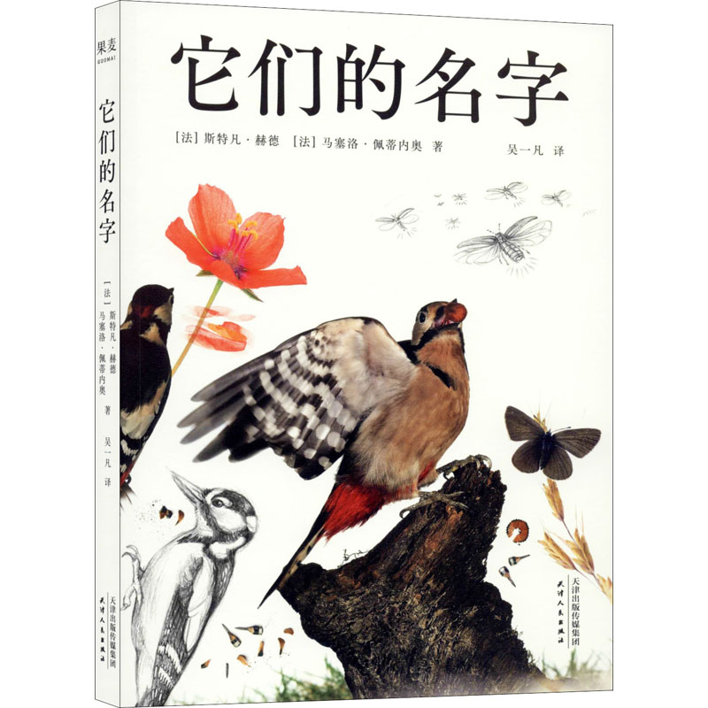 醉染图书它们的名字9787201160610高清大图