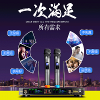 新科(Shinco)H60无线U段麦克风 家用KTV话筒一拖二 卡拉OK家庭会议舞台K歌话筒