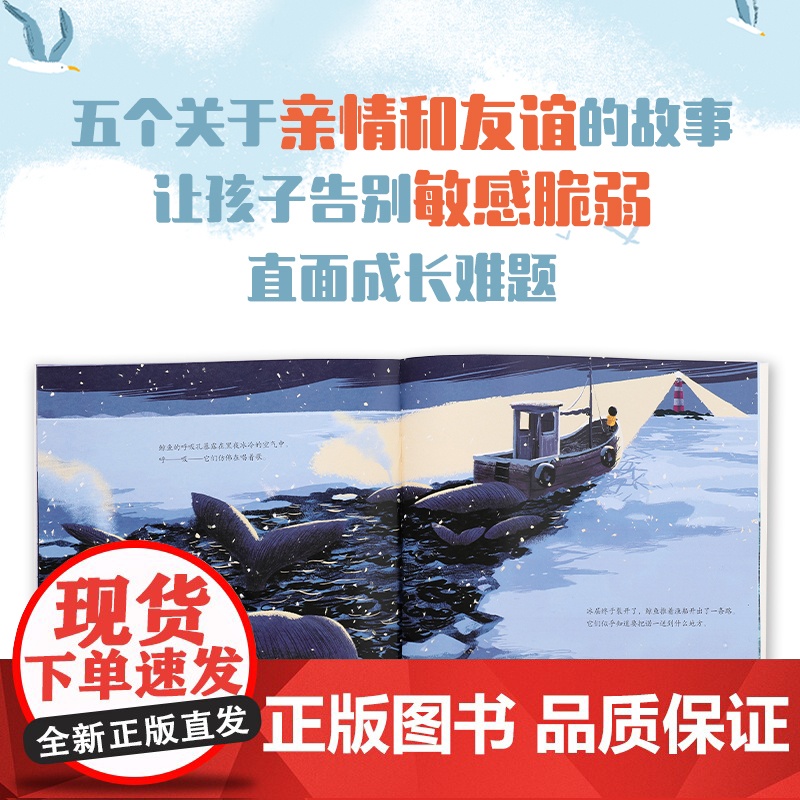 [3-6岁]暖暖的爱大奖绘本 5册 本吉戴维斯 著 《小熊很忙》作者夺奖之作 情亲 友情 直面成长难题 中信出版社图书高清大图