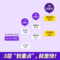 [闪过全套]词汇+阅读+语法+默写 初中通用 [正版]新版2024版中考词汇闪过初中英语单词3500词汇大全 中考英