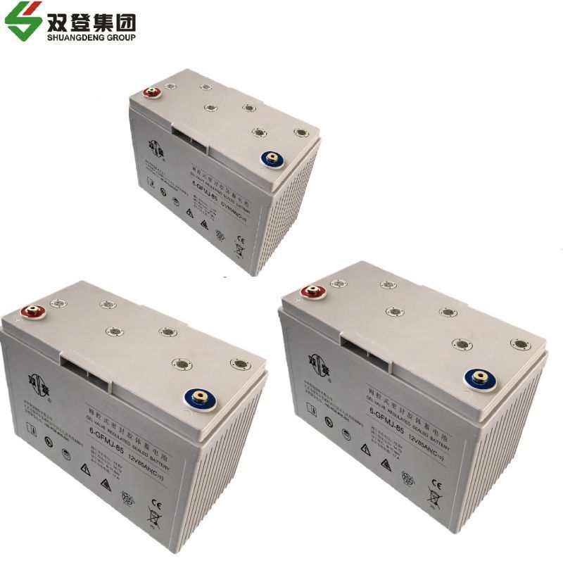 双登免维护胶体蓄电池6-GFMJ-90 含配件