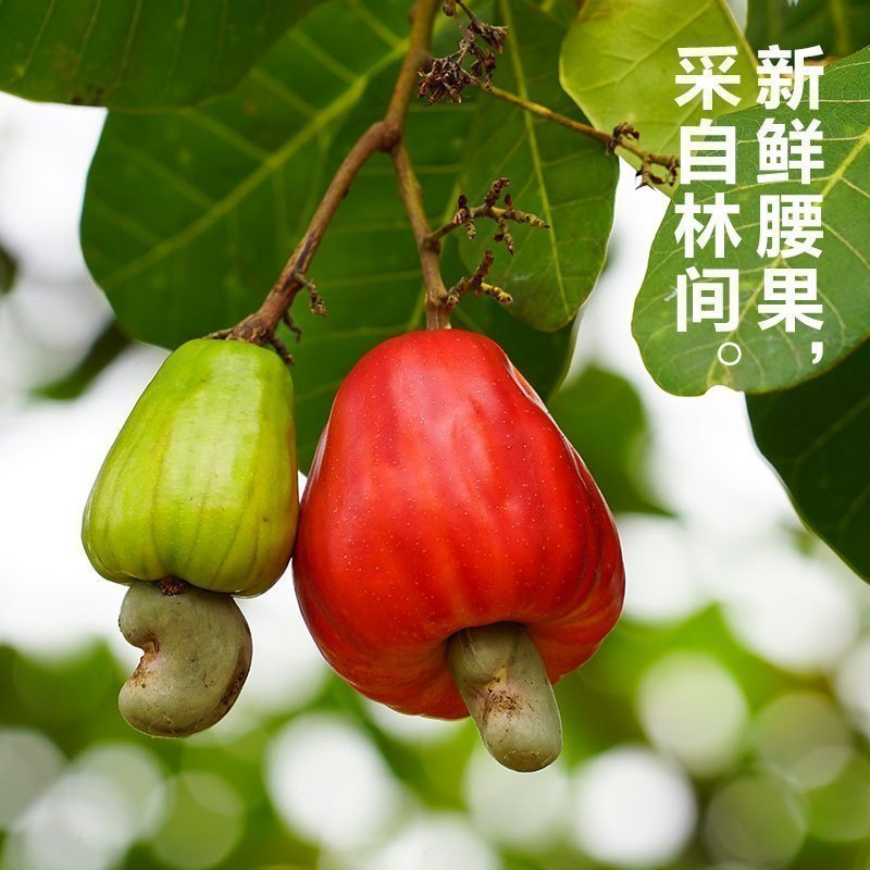 [满199减100]来伊份 紫衣大腰果80g大腰果坚果炒货干果腰果仁零食送礼高清大图