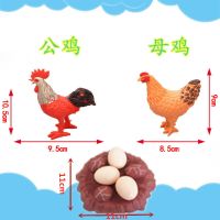 大号仿真家禽动物模型玩具摆件鸡鸭鹅狗猪小猫兔子宝宝认识动物 公鸡+母鸡 送蛋巢套装