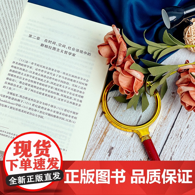 柏拉图式政制 古代晚期柏拉图主义政治哲学 望江柏拉图研究论丛 重构新柏拉图主义政治哲学奠基之作 正版 华东师范大学出版社高清大图