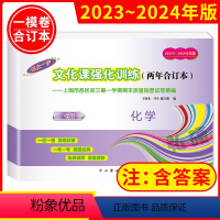 化学 上海 [正版]2023-2024年版领先一步上海中考一模卷化学文化课强化训练两年合订本含参考答案上海市各区初三初中