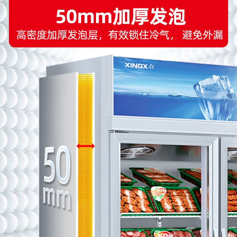 星星(XINGX) 800升双门冷藏展示柜商用风冷多门立式冷藏柜啤酒柜饮料柜陈列柜酒吧酒柜 LSD-810WD图片