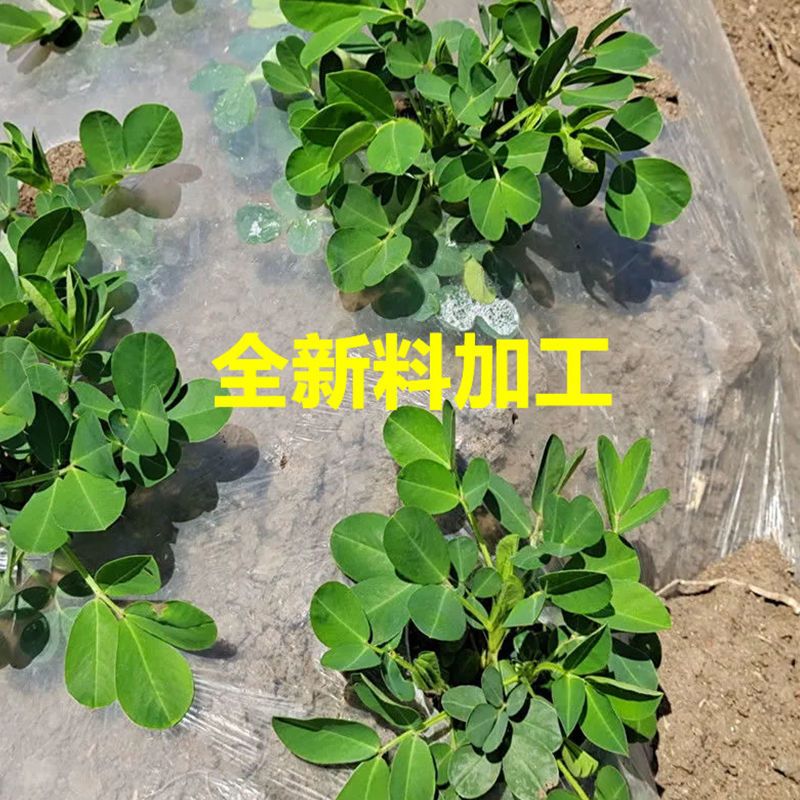 白0.6丝0.6米宽700米4.8斤 白色地膜保温保湿农用膜混凝土吹塑膜黑地膜果园农资蔬菜大棚薄膜