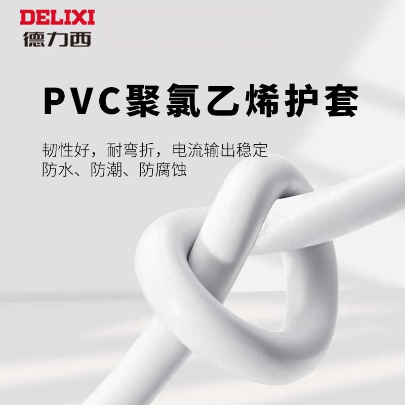 德力西RVV软护套线二芯2.5平方铜芯电线国标工程电缆电源线 白色100米 RVV 2*2.5