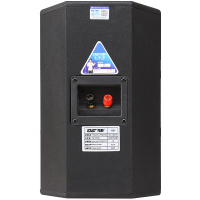 先科(SAST)K3套装家庭影院 KTV音响套装 家用音响 10英寸卡拉OK音箱