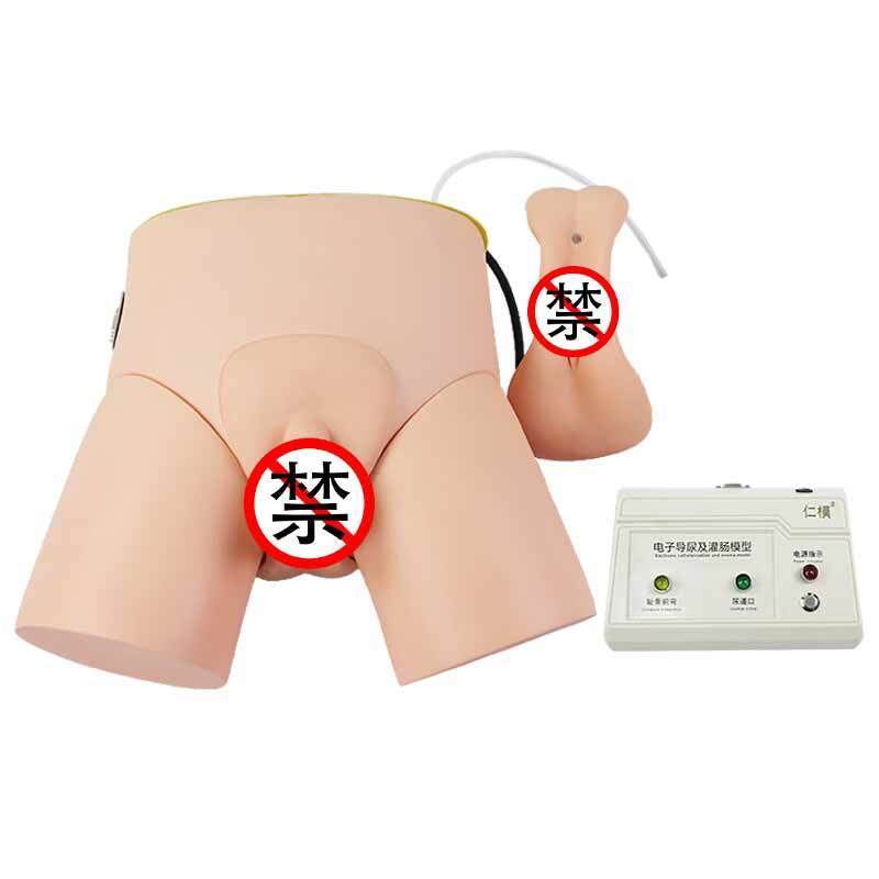 医学教学模型