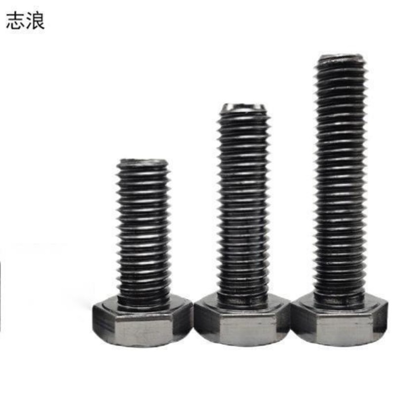 志浪 六角头螺栓12*65 个高清大图