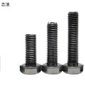 志浪 六角头螺栓12*65 个