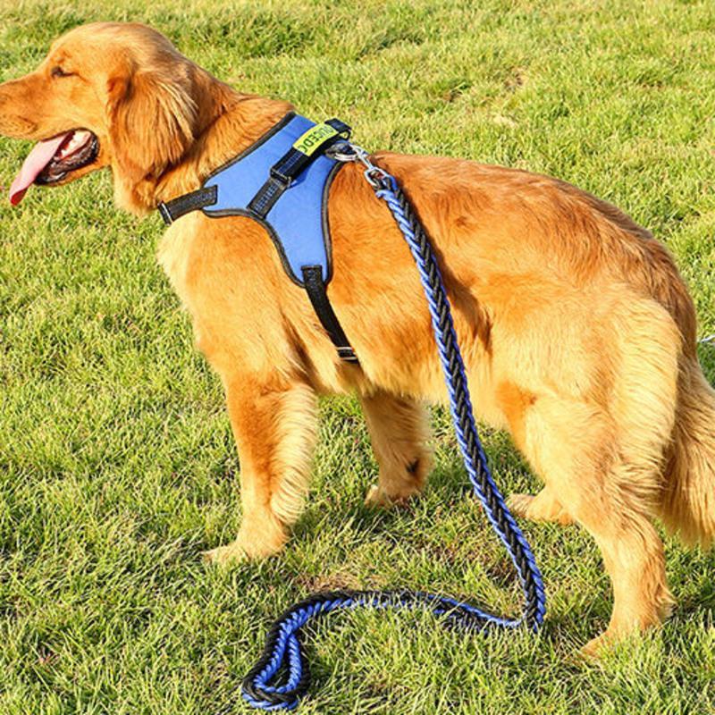 牵引绳项圈红黑s码适合718斤大型犬狗链子大狗牵引绳狗绳狗项圈